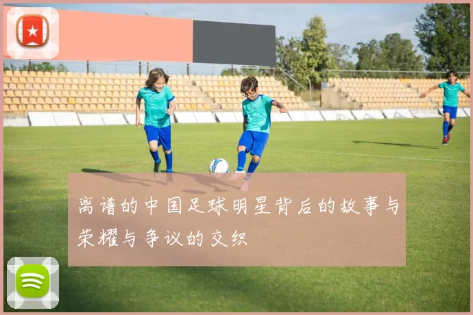 离谱的中国足球明星背后的故事与荣耀与争议的交织