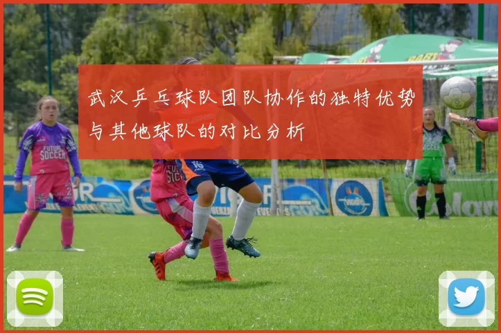 武汉乒乓球队团队协作的独特优势与其他球队的对比分析
