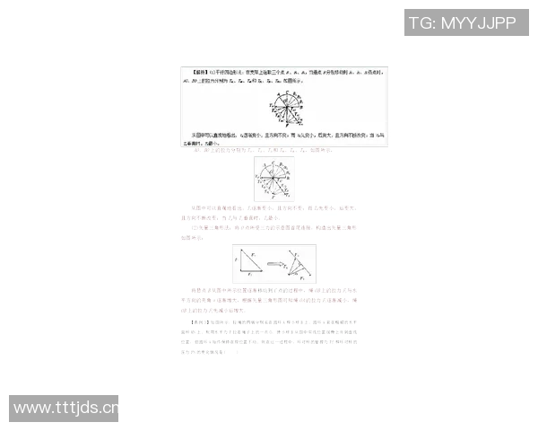 杭州羽毛球队的控制策略解析与热点动态分析