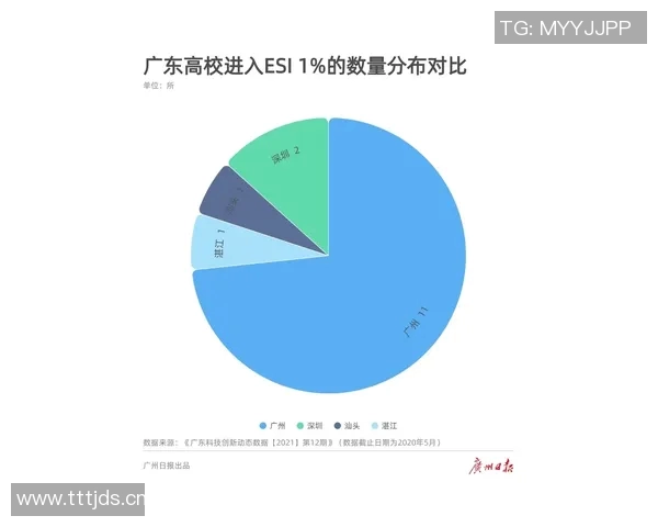 广州飞盘队技术表现分析：数据揭示战术优势与提升空间